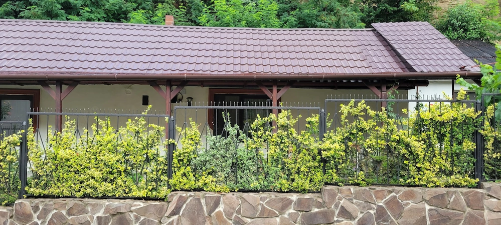 Casa in Simleu Silvaniei