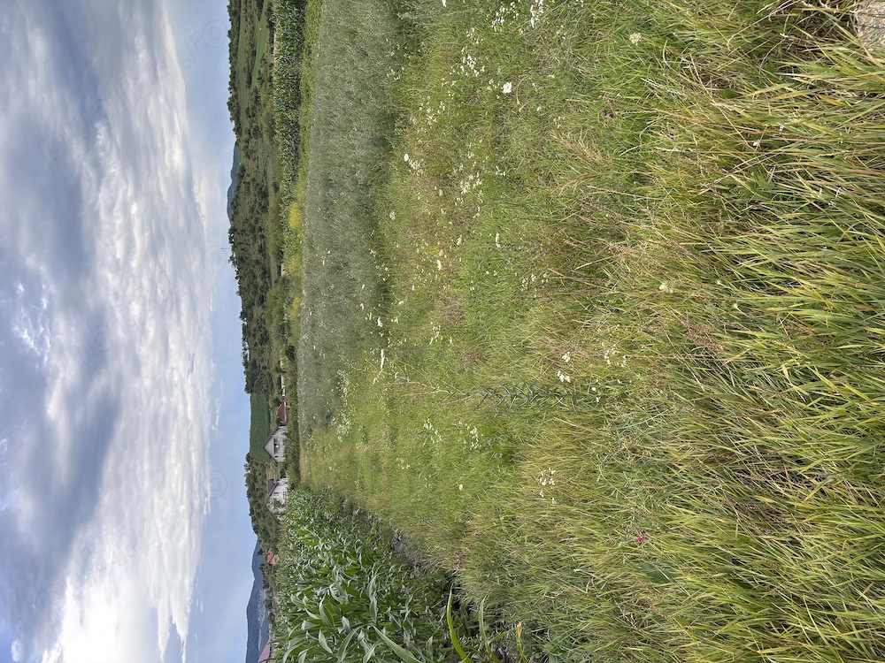 Vând teren intravilan-Dumitra