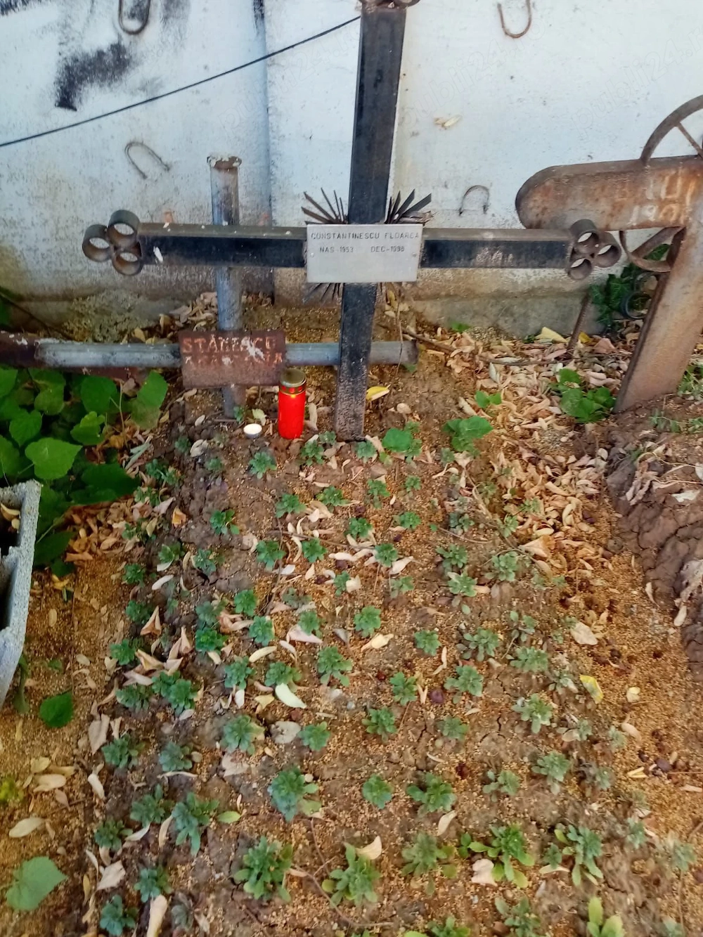 Vand loc de veci Cimitir Sf Vineri Bucuresti