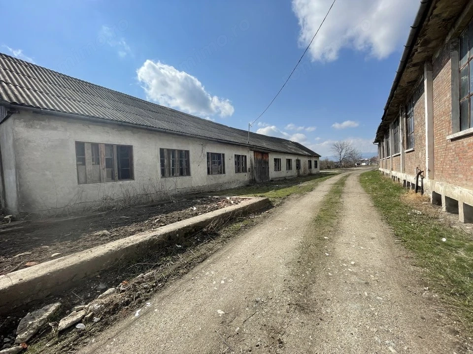 Teren intravilan 16000 mp + hale Calea Surii Mici