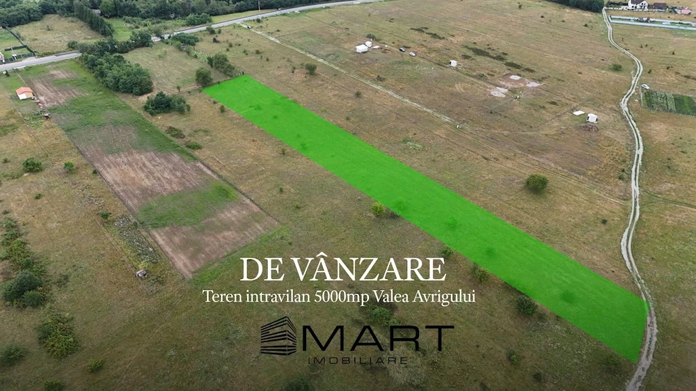 Teren intravilan 5000mp Valea Avrigului