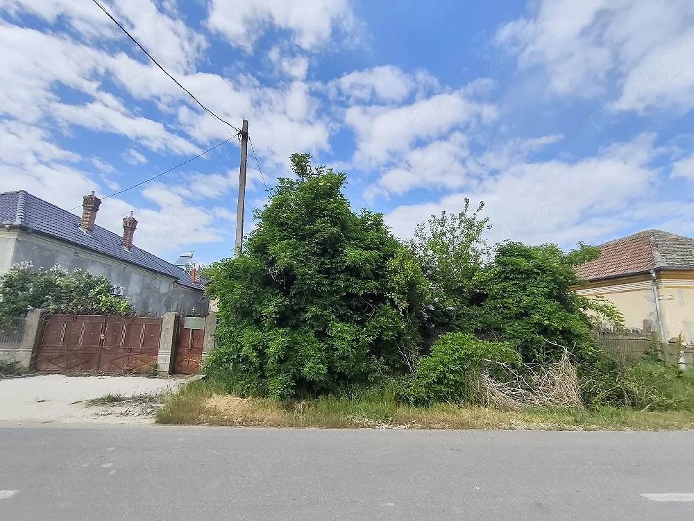 Vând pachet proprietăți   teren intravilan + 3 parcele extravilane | Poiana Mare, Dolj