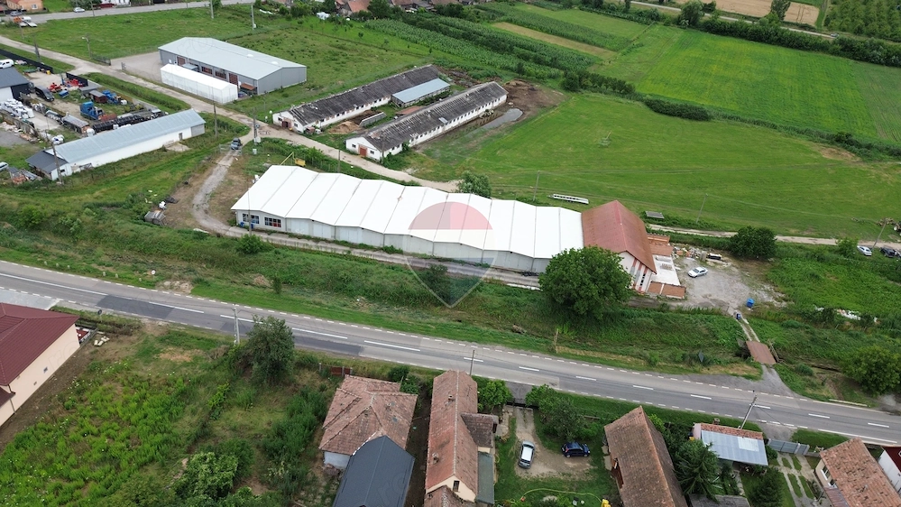 Spațiu industrial 1.400 mp de închiriat | Blăjel | Acces direct DN14A