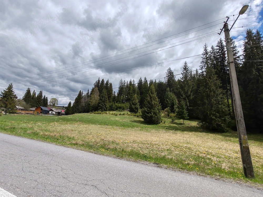 Teren intravilan de vânzare Secu - Toplița 10.238 mp