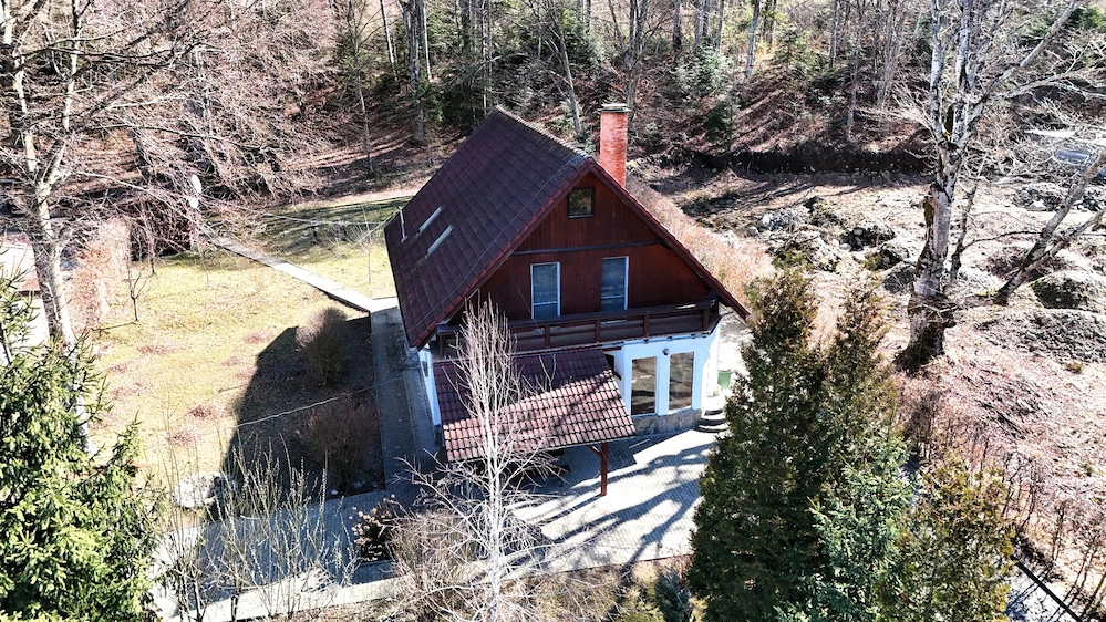 Casa de vacanta cu teren 2000mp Valea Avrigului