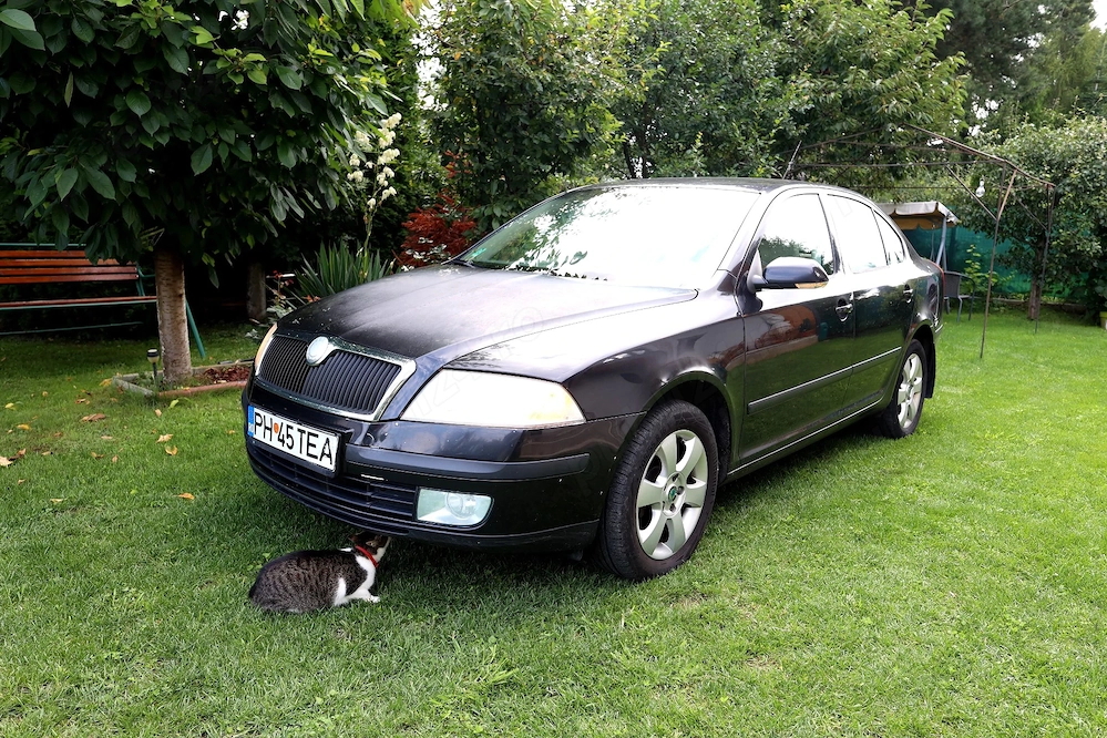 Vand autoturism Skoda octavia 2. 1,9 TDI