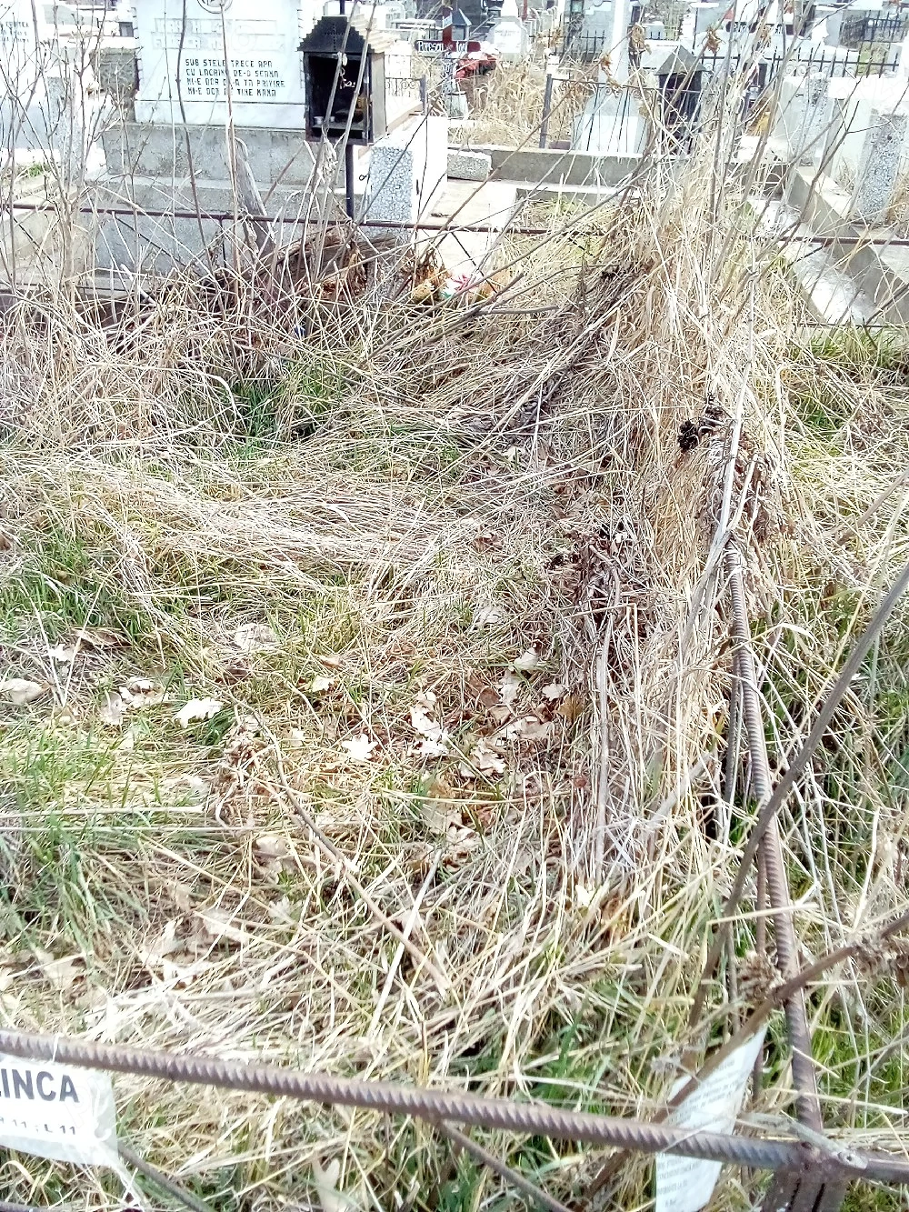2 Locuri de veci, cimitirul Afumați - pădure