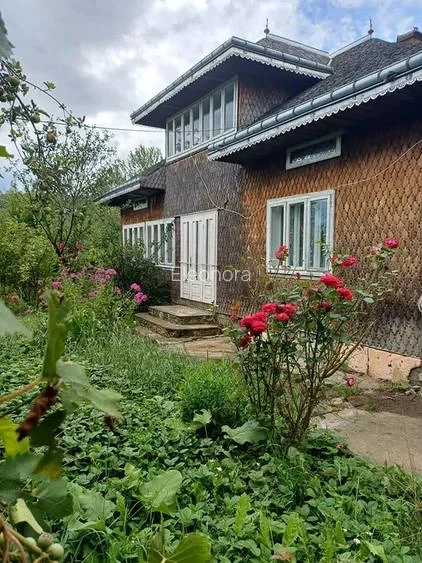 Casa si teren în Malini, judetul Suceava, teren 5000mp , proprietar
