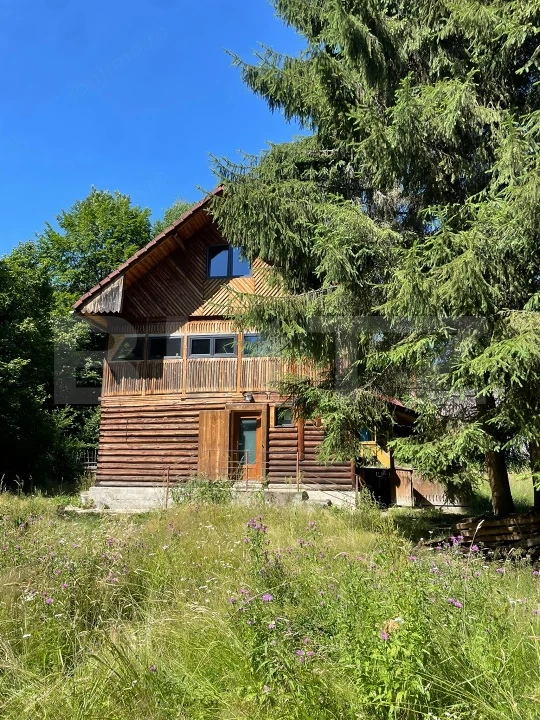 Cabana cu parau si brazi maturi, 1400mp, Valea Fericirii