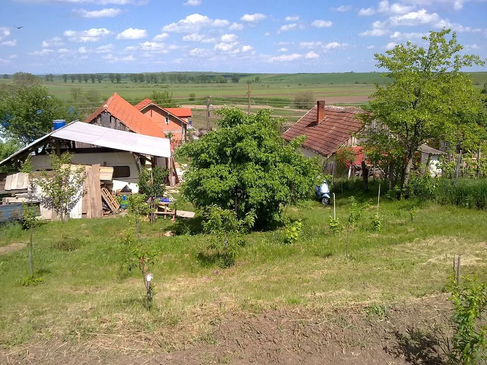Casa veche cu teren 1300 mp
