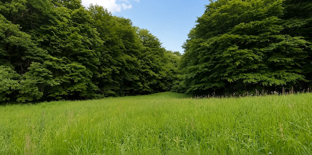 Teren de VIS la marginea padurii (aproape de Cluj) - 1000mp | Utilitati la teren | Direct proprietar