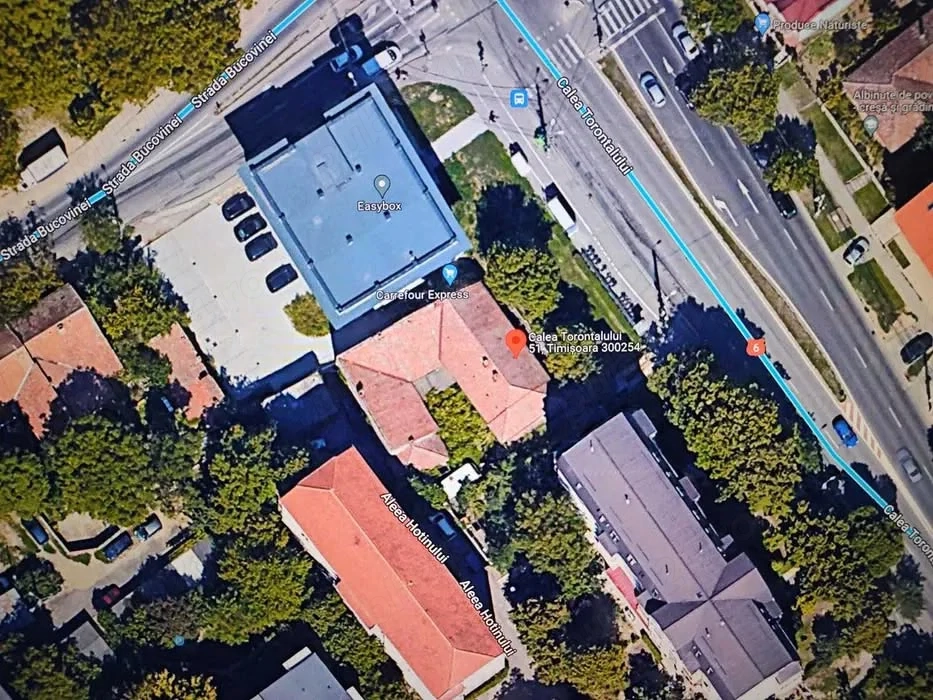 Vand casa Torontalului artera