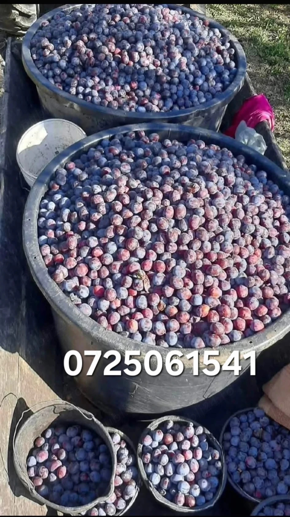 Fructe și legume 
