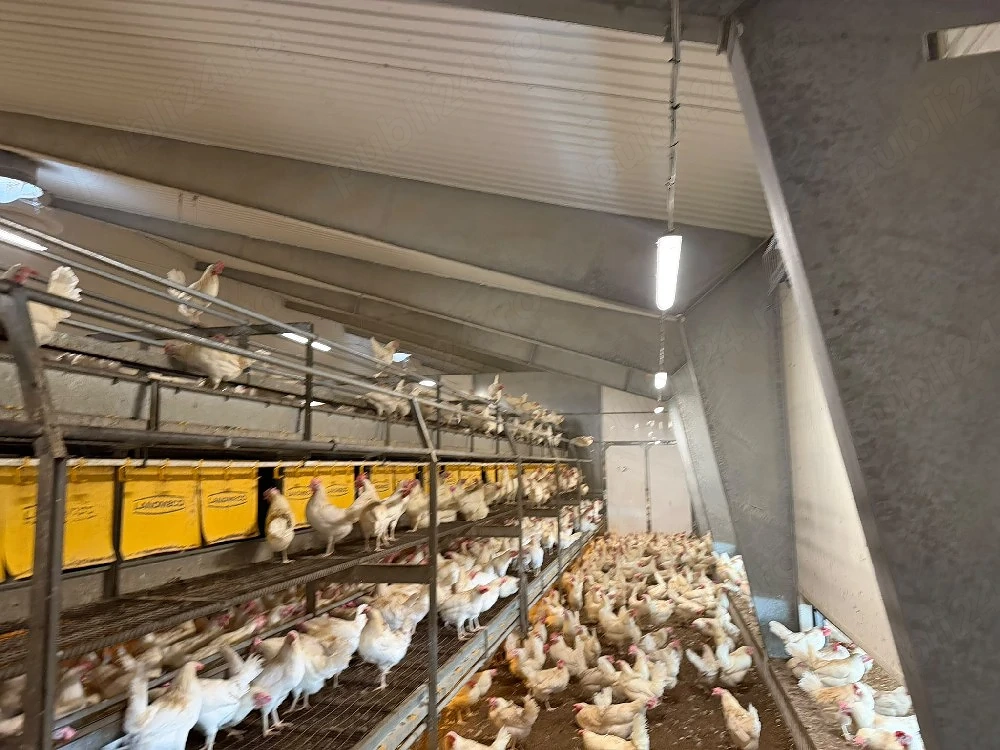 Vino în echipa noastră! Angajăm Îngrijitor Animale