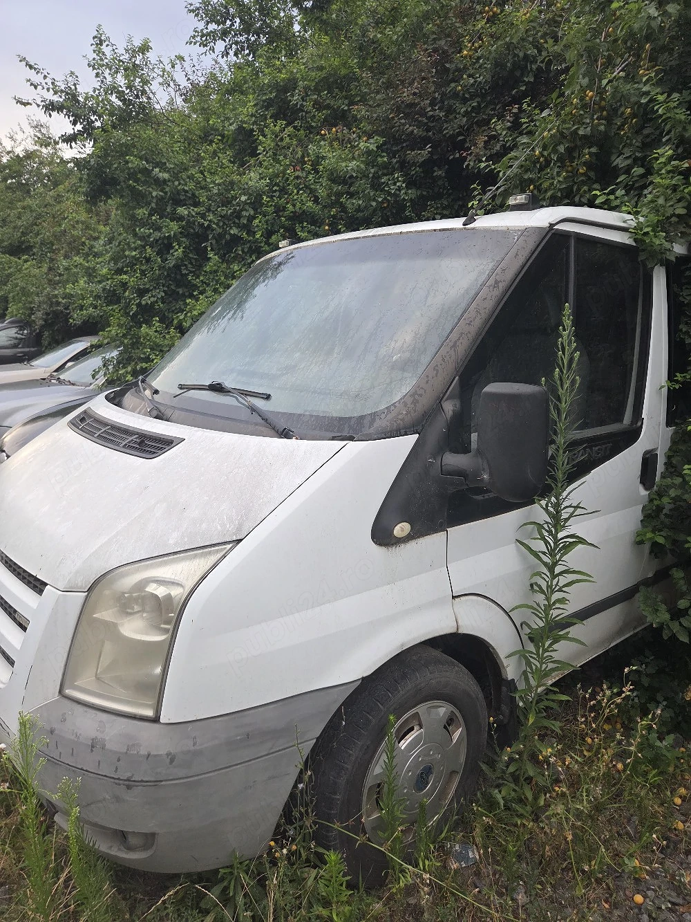 Camioneta Ford Transit
