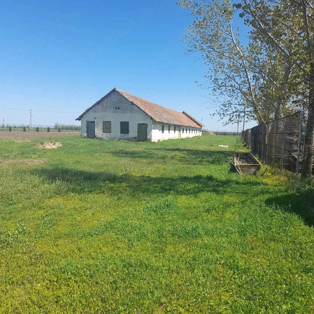 Vand grajd pentru cresterea animalelor
