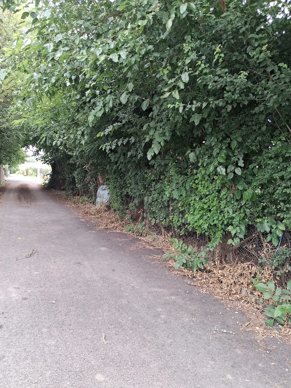 Vând  teren  intravilan în comuna Hotarele județul Giurgiu.Secerisului nr 21  