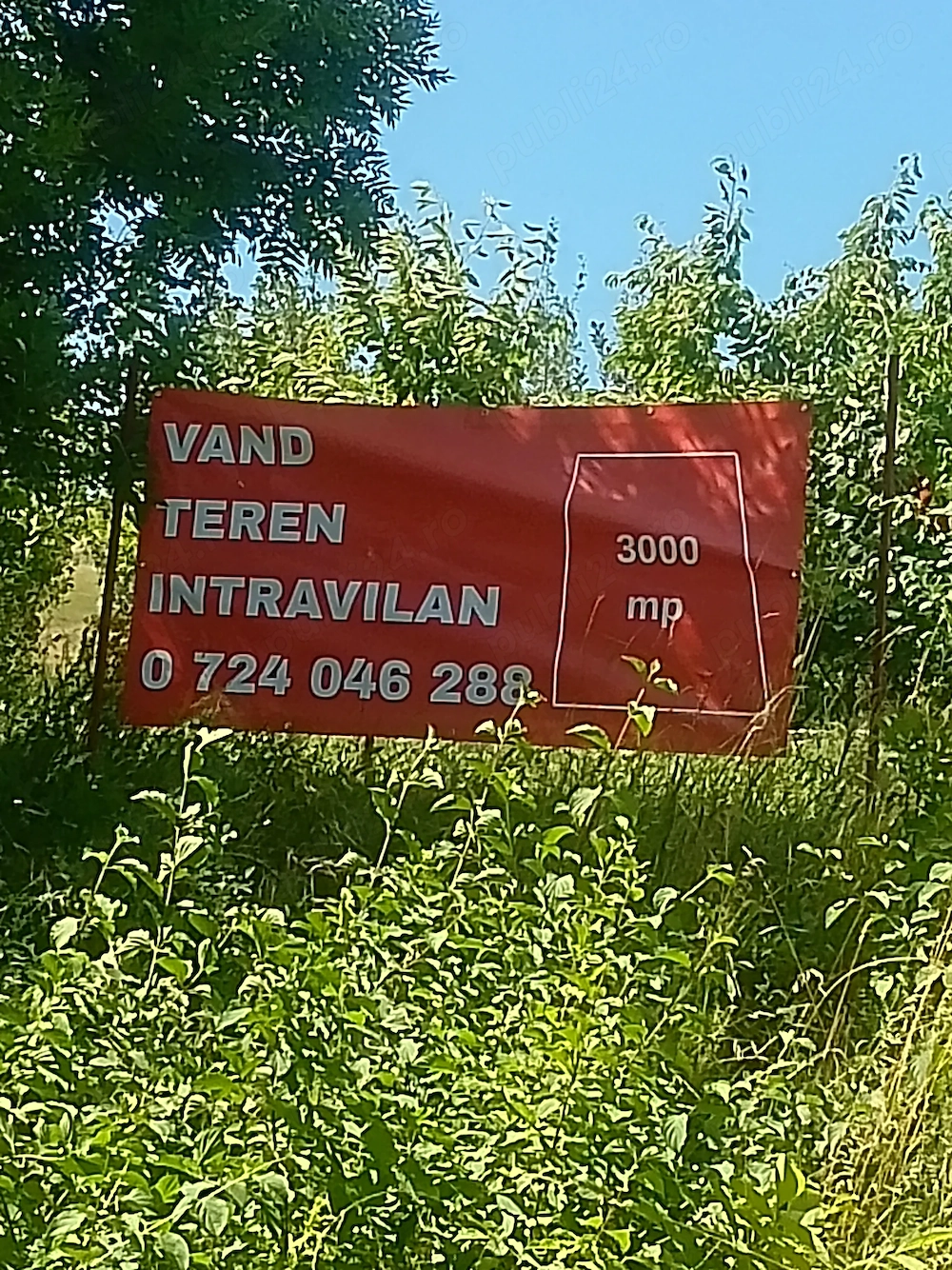 Proprietar vând teren 3000 (2X1500 )mp sopor