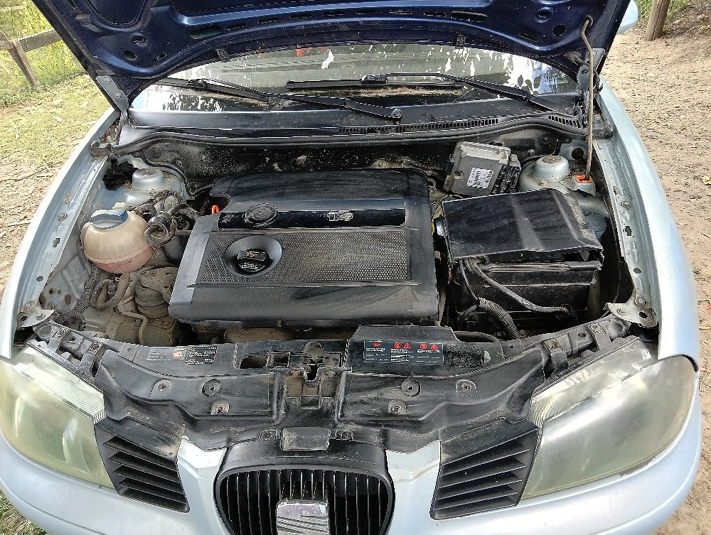 Seat ibiza 2004  1.4. benzina.   RADIATA
