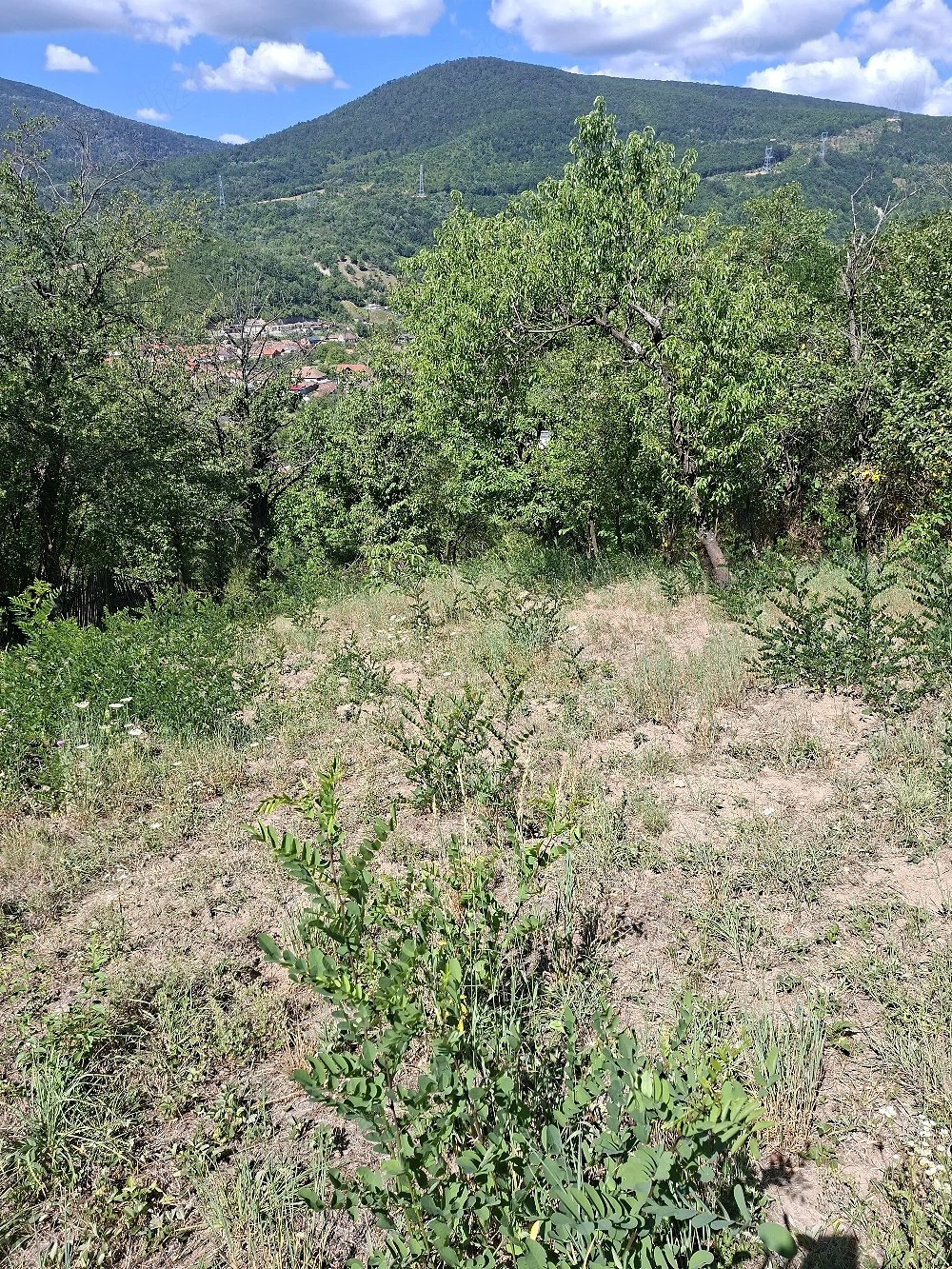 De vanzare teren mehadia