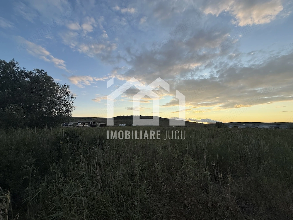 Teren – 7.194 mp | Răscruci – Zona Tetarom
