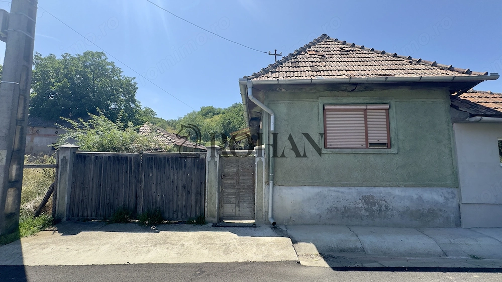 Casă + Anexă Cricău | 2.015 mp teren