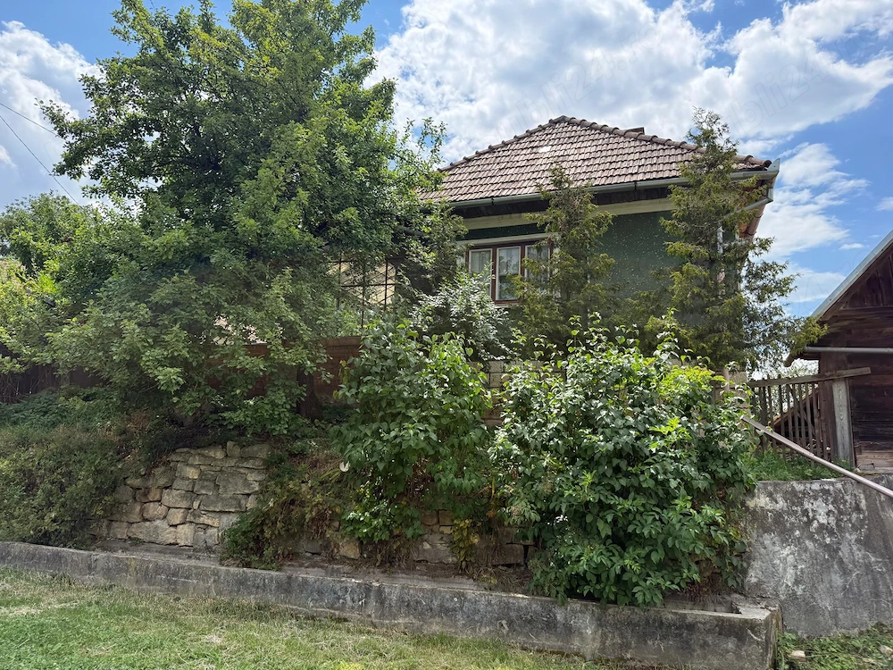 Vand casa la tara