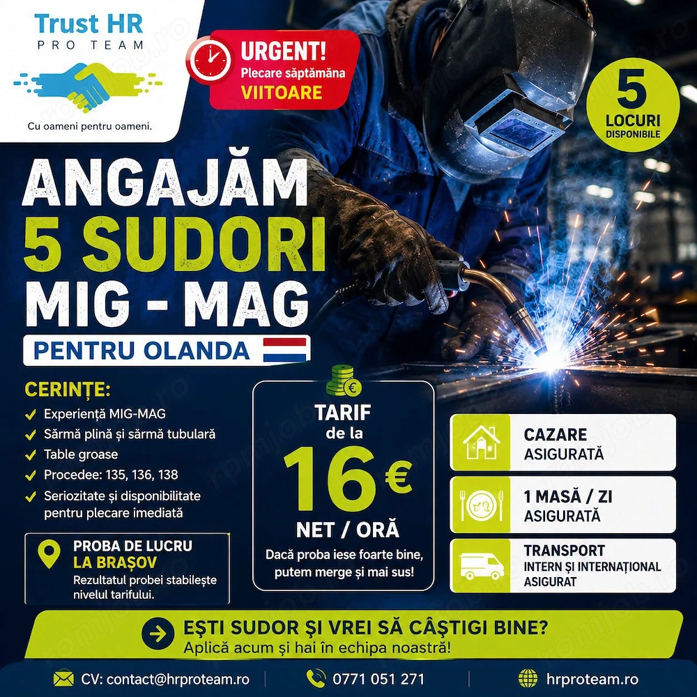 Sudor MIG-MAG (135 136 138)   Olanda | de la 16   NET oră