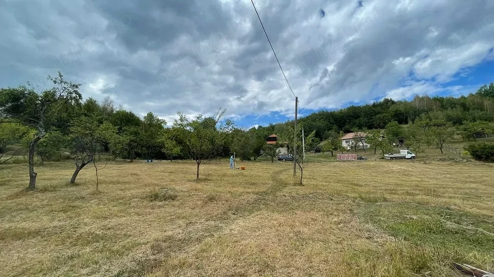 Vând 5.200 mp intravilan în Tranișu   ideal cabană sau casă de vacanță - 17euro mp - negociabil
