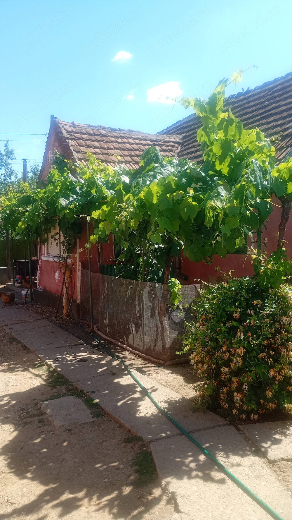 Casă de vânzare Agrișu Mare județul Arad 