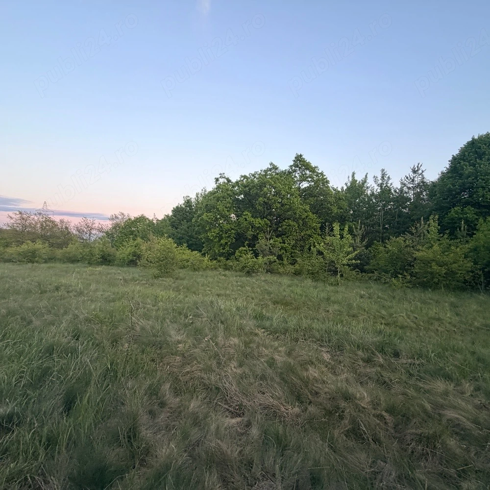 Teren de vanzare 4647 mp Cozia judetul Hunedoara 35000 euro Accept schimb auto