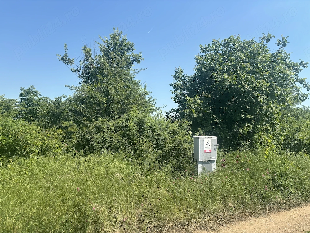 Teren de vânzare Dascalu Creața 