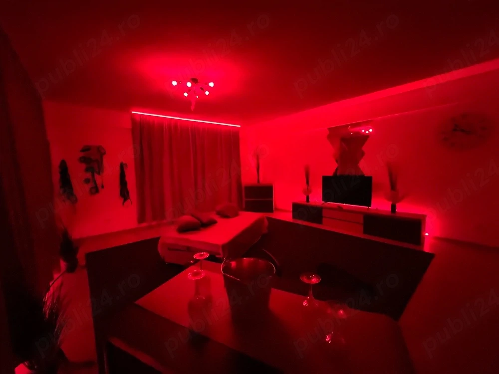 Apartament tematica regim hotelier 