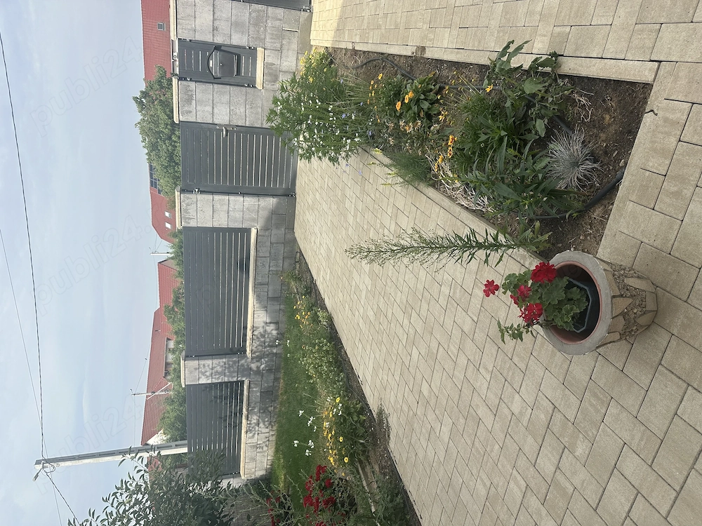 Casa de vinzare in Biharea