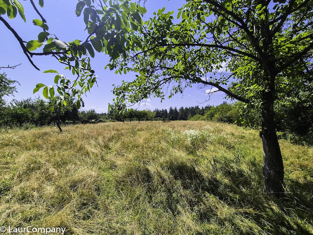 Teren intravilan  Cotmeana Arges