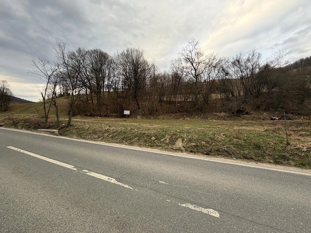 Vând teren în Abrud