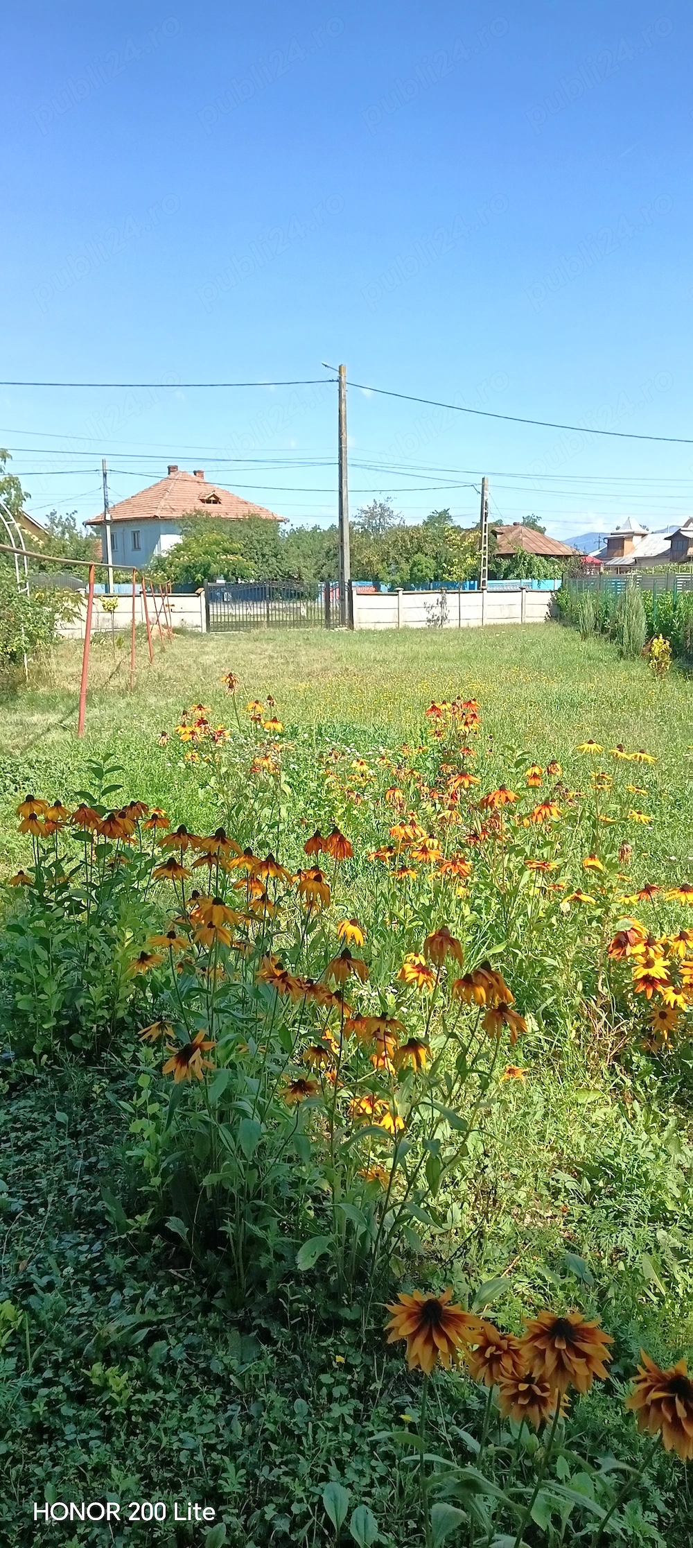 Teren de închiriat 