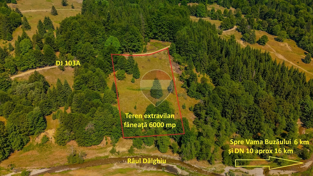 Teren 6000 mp, Valea Dălghiului - Vama Buzăului - vedere către Ciucaș