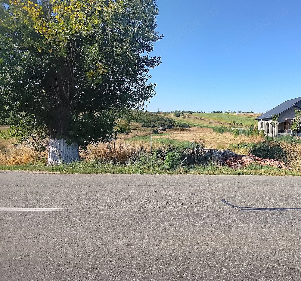Teren intravilan Predești dolj 