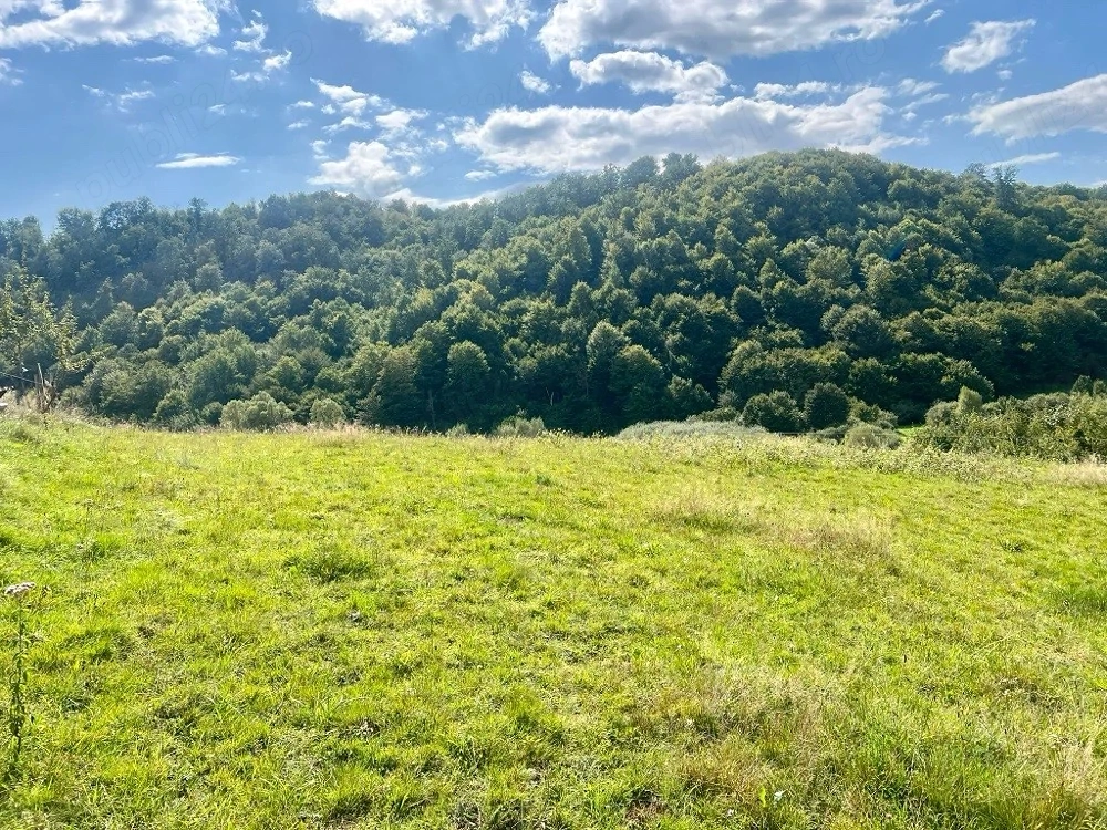  Teren extravilan 60 ari în Roșia, Bihor   Lângă pârâu, ideal pentru glamping, cabane sau fermă