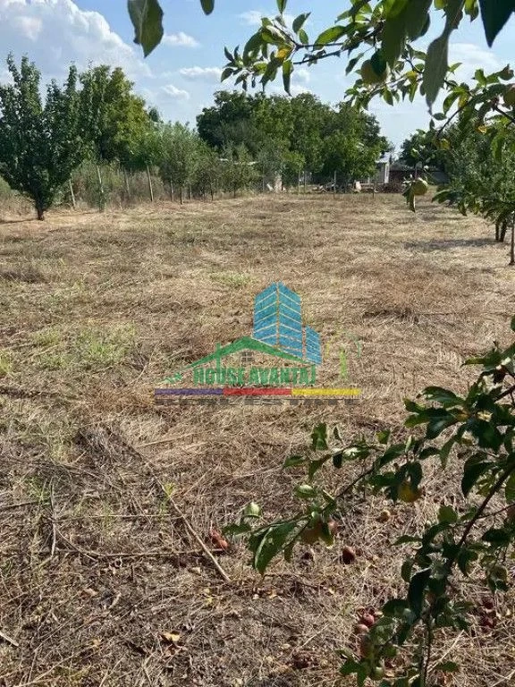 Teren 1500 mp pentru Casă | Petrești, Zonă de Case