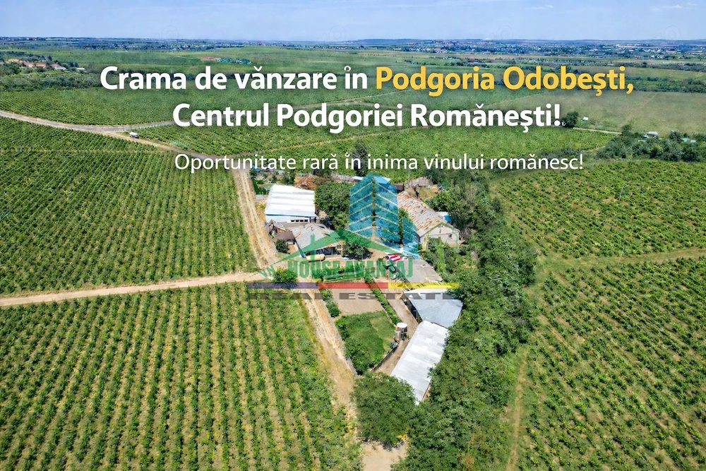 Cramă complet funcțională in inima Podgoriei Odobești