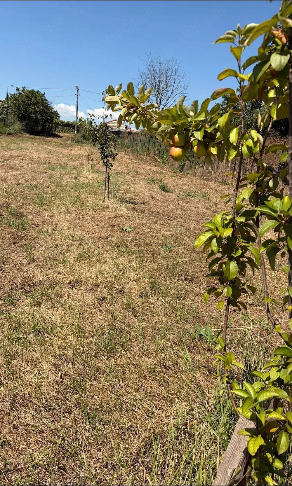  Teren intravilan 1402 mp Dulcești (23 August) | Asfalt | Utilități la gard