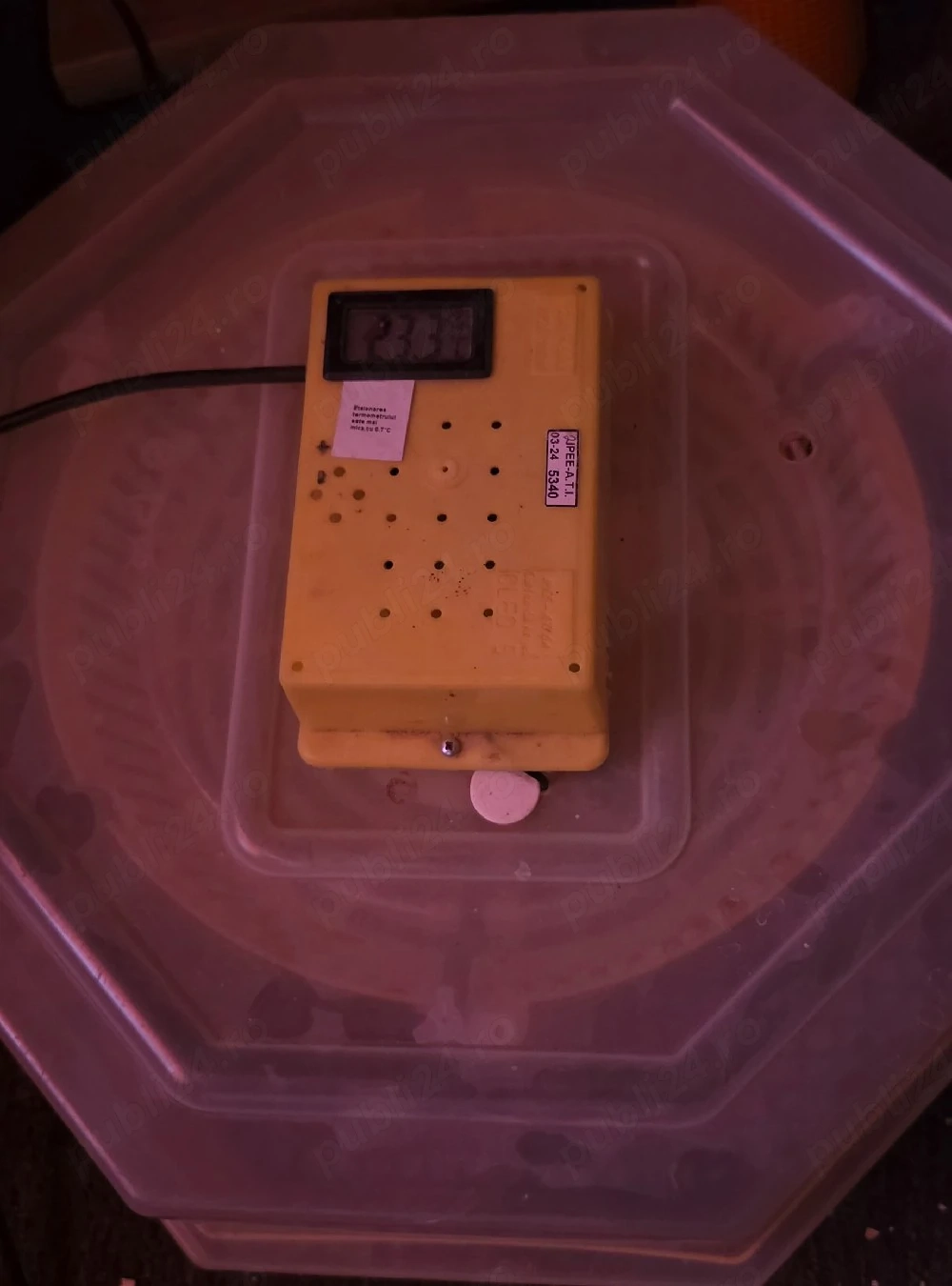 Incubator Cleo 5