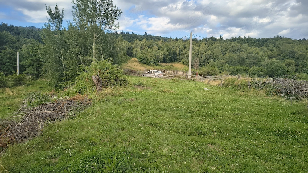 Teren intravilan 725 mp
