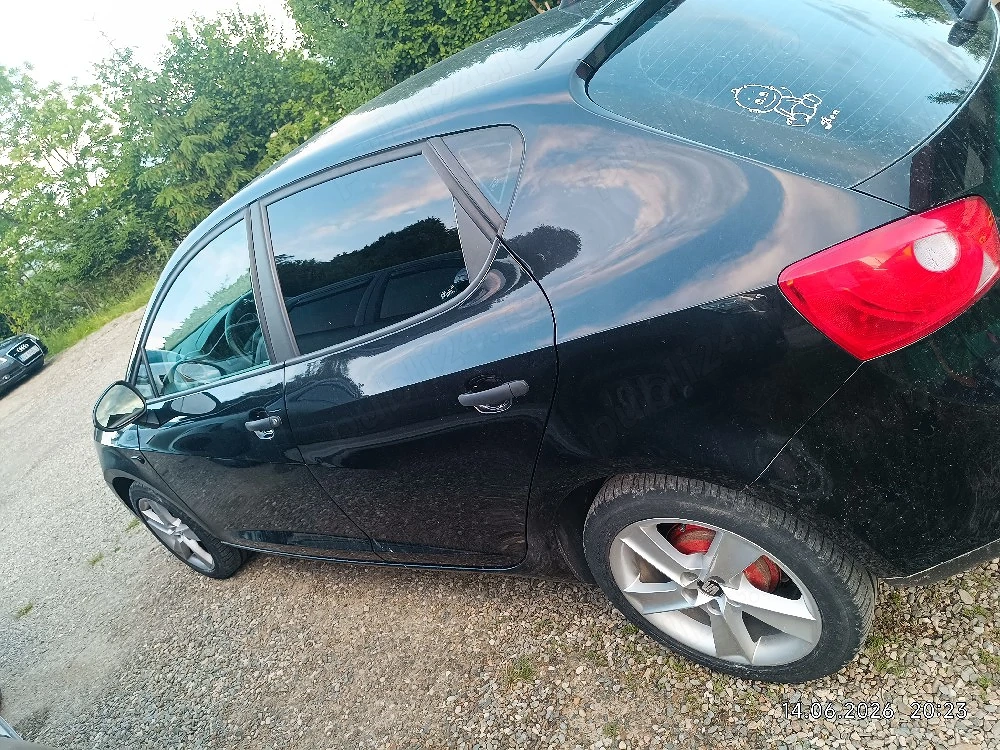 Seat Ibiza 2010