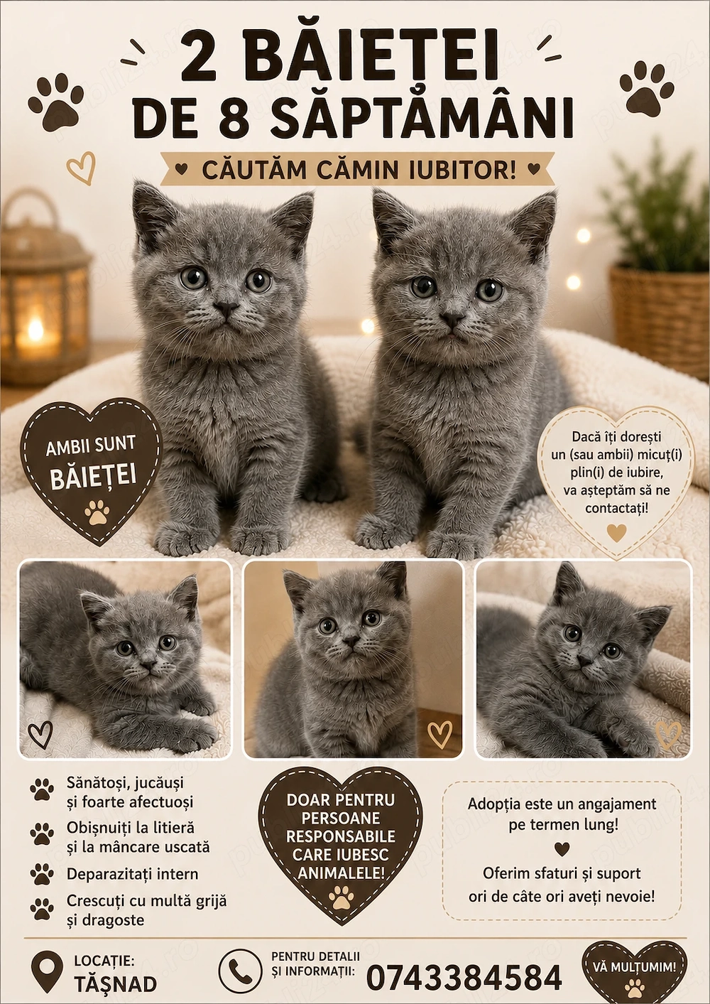Caut o familie iubitoare 