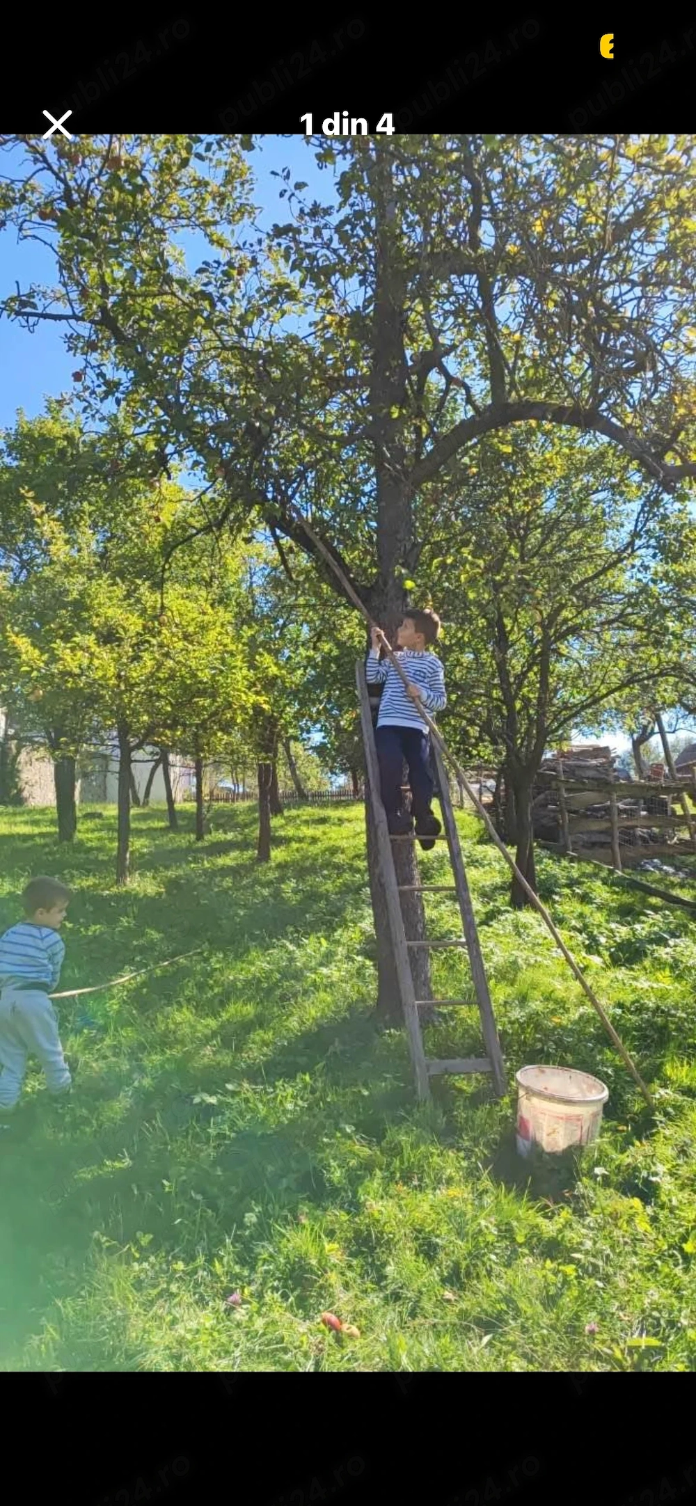 grădina  teren intravilan 
