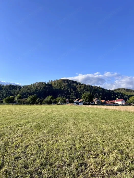 Teren 661 mp Zarnesti