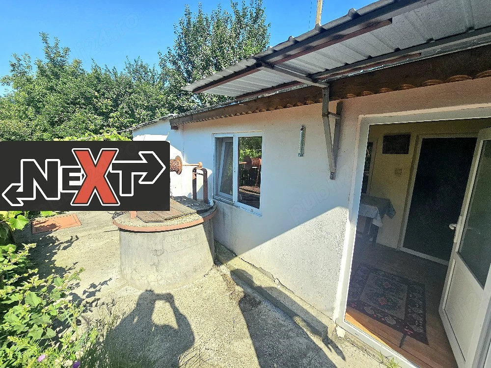 Doua corpuri de casa cu 3700 teren Davideni 